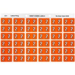 AVERY 43342 LATERAL FILE LABEL SIDE TAB YEAR CODE 2 25 X 38MM ORANGE PACK 180