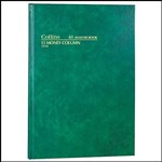 COLLINS 61 SERIES ANALYSIS BOOK 15 MONEY COLUMN 84 LEAF A4 GREEN