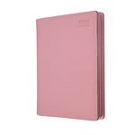 DEBDEN ASSOCIATE II DESK 4551U50 DIARY WEEK TO VIEW A5 PINK