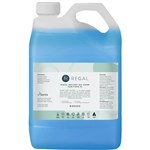 REGAL INSTANT GEL HAND SANITISER 5 LITRE