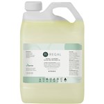 REGAL LAUNDRY ALKALINE BUILDER 5 LITRE