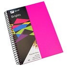 Quill Coloured Visual Art Diaries