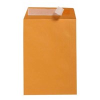 Peel N Seal Envelopes